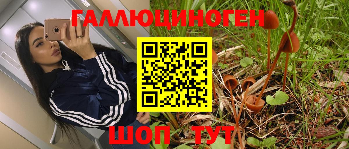 Псилоцибиновые грибы GOLDEN TEACHER Кирово-Чепецк