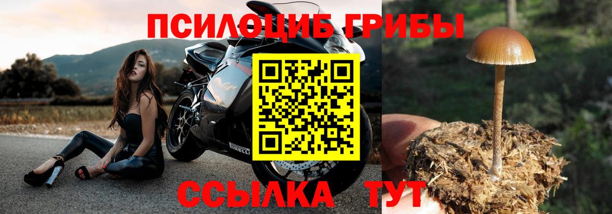 Галлюциногенные грибы прущие грибы  Вход с VPN  Кирово-Чепецк  Псилоцибиновые грибы мухоморы 